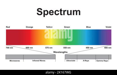 Conception scientifique du spectre des ondes électromagnétiques. Le spectre de lumière. Symboles colorés. Illustration vectorielle. Illustration de Vecteur