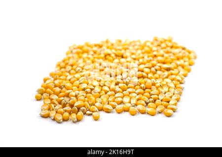 Type de grains de maïs-champignon utilisé pour faire du maïs soufflé isolé sur un fond blanc Banque D'Images