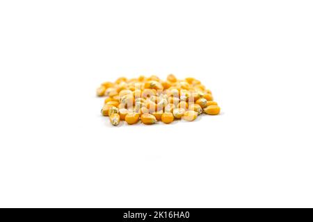 Type de grains de maïs-champignon utilisé pour faire du maïs soufflé isolé sur un fond blanc Banque D'Images