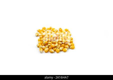 Type de grains de maïs-champignon utilisé pour faire du maïs soufflé isolé sur un fond blanc Banque D'Images