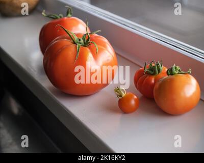 Tomates de tailles différentes dans la scène de tous les jours sur le mûrissement de seuil de fenêtre Banque D'Images