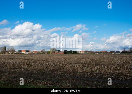 Photo de paysage avec un champ de maïs récemment récolté au premier plan Banque D'Images