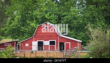 Paysage agricole avec ancienne Grange rouge. Grange rouge dans les régions rurales du Canada. Banque D'Images