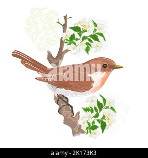 Oiseau sur une brindille jasmin nature d'arrière-plan illustration de vecteur Illustration de Vecteur