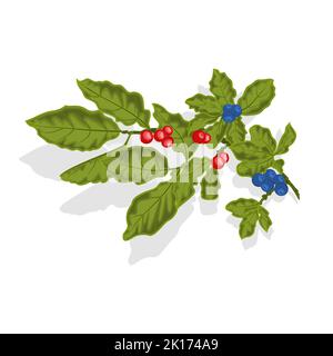 Bleuets brindilles aux feuilles et aux baies vectorielles Illustration de Vecteur