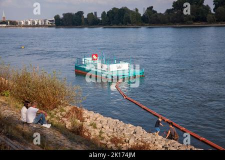 Piège à ordures de l'organisation environnementale KRAKE (Koelner Rhein-Aufraeum-Kommando-Einheit) sur les rives du Rhin à Riehl, Koeln, Allemagne. Cat Banque D'Images