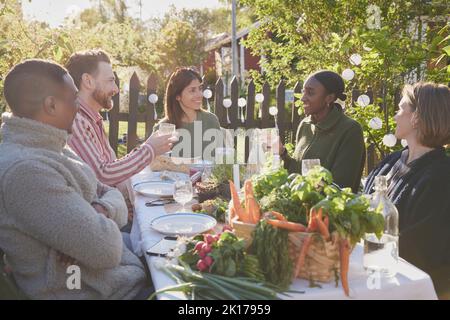 Amis qui ont repas dans le jardin Banque D'Images