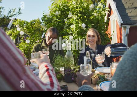 Amis qui ont repas dans le jardin Banque D'Images