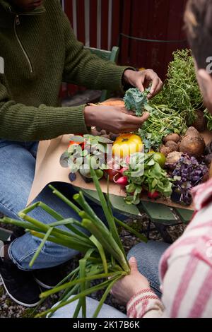 Vue en grand angle des mains tenant les herbes Banque D'Images