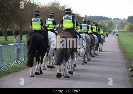 Windsor, Berkshire, Royaume-Uni. 16th septembre 2022. La police montée d'un certain nombre d'unités à travers le Royaume-Uni, y compris la police de Thames Valley, était en patrouille sur la longue promenade à Windsor aujourd'hui. Lundi, une énorme opération de sécurité est en cours devant la funérailles d'État de sa Majesté la Reine. Le cercueil de sa Majesté reviendra lundi à Windsor le long de la longue promenade où, après un service de comitat, elle sera ensuite posée pour se reposer dans la chapelle commémorative du roi George VI, la chapelle Saint-Georges au château de Windsor lors d'une cérémonie privée à laquelle assistera la famille royale. Crédit : Maureen McLean/Alay Live News Banque D'Images