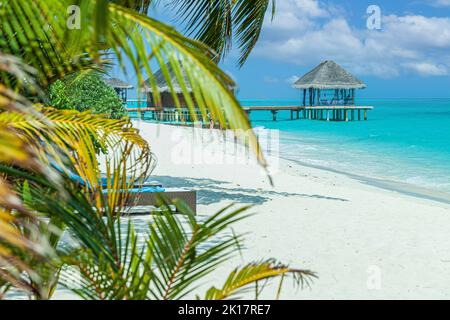 Impression of a beach on a maldives island with wild vegetation and a sun lounger and a water bungalow during daytime Stock Photo