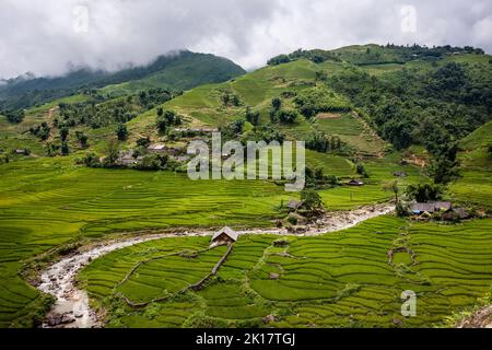 En regardant le champ de riz dans la montagne Sapa au Vietnam Banque D'Images