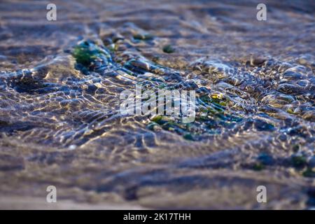 Belle eau d'océan pure ondulations surface sans couture motif abstrait texture design nature fond image concept. réflexion de soleil sur l'eau. Banque D'Images