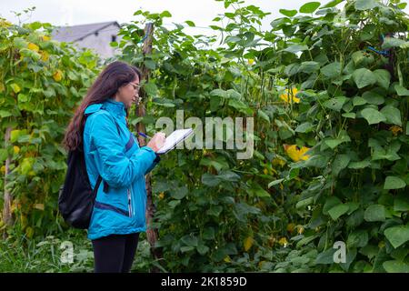 Jeune femme ethnique sérieuse vérifiant les plantes et prenant des notes dans le jardin Banque D'Images