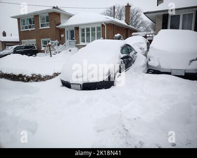 Voitures et maisons couvertes de neige après une tempête de neige hivernale, Toronto, Canada Banque D'Images
