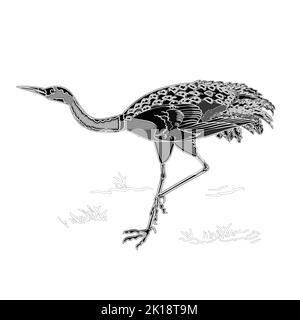 Grue de danse faune animal cou gravure vintage vecteur illustration Illustration de Vecteur