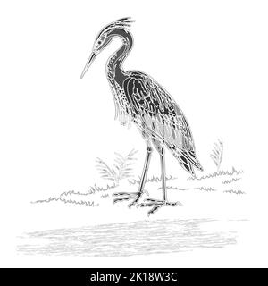 Heron oiseau d'eau sur la chasse vintage gravure illustrations vectorielles Illustration de Vecteur