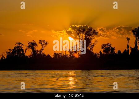 Coucher de soleil sur la rivière Cuiaba près de Porto Jofre dans le nord du Pantanal, province de Mato Grosso au Brésil. Banque D'Images