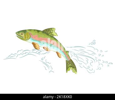 La truite arc-en-ciel d'Amérique saute sur le vecteur de weir illustration eps 8 sans gradients Illustration de Vecteur