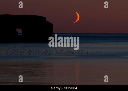 Le Crescent Moon se dresse au-dessus de l'Atlantique, de la baie de Skaill, d'Orcades Banque D'Images