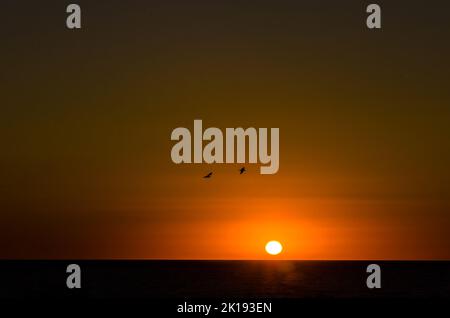 Magnifique coucher de soleil sur la plage de la Barrosa, Chiclana de la Frontera, Cadix Banque D'Images