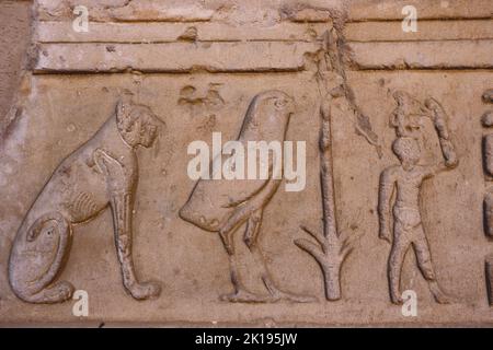 Photo d'un ancien dessin égyptien sur les murs du Temple d'Edfu, Égypte Banque D'Images