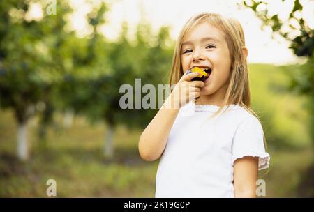 Une jolie petite fille aux cheveux blonds mange une prune fraîchement cueillie dans le verger de son grand-père, elle regarde la caméra et a un visage heureux Banque D'Images