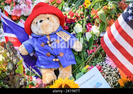 Londres, Royaume-Uni. 16th septembre 2022. Beaucoup d'ours de Paddington ont été laissés en référence à une clib de télévision qui a montré la Reine avec l'ours animé. Les membres du public s'en prennent à sa Majesté la reine Elizabeth II en posant des fleurs, des cartes, des jouets et d'autres petits hommages à Green Park, près du palais de Buckingham. Des milliers de personnes se promènent autour du site en pleine croissance, beaucoup se déplacent clairement. Credit: Imagetraceur/Alamy Live News Credit: Imagetraceur/Alamy Live News Banque D'Images