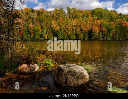 La couleur de l'automne entoure la rive du lac Hugoboom dans la forêt nationale de Hiawatha, dans le comté de Delta, au Michigan Banque D'Images