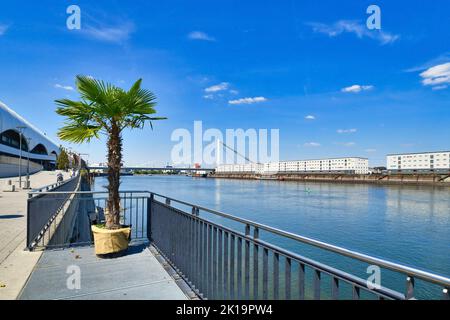 Ludwigshafen, Allemagne - août 2022 : vue sur le Rhin depuis la promenade avec palmier Banque D'Images