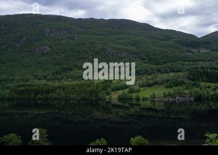 Paysages merveilleux en Norvège. Colline verte avec miroir de réflexion sur l'eau du lac Gjerdesdalsvatnet . Route panoramique norvégienne Ryfylke. Arbres a Banque D'Images