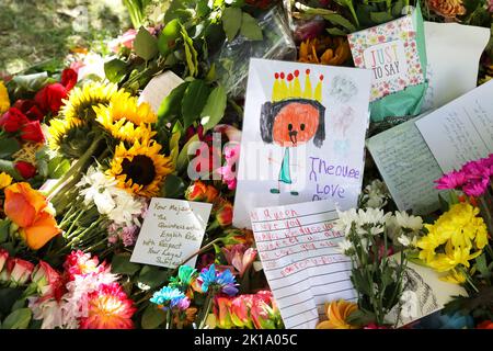 Fleurs et cartes laissées autour des arbres par des adeptes après la mort de la reine Elizabeth II, à Green Park, dans le centre de Londres, Royaume-Uni Banque D'Images