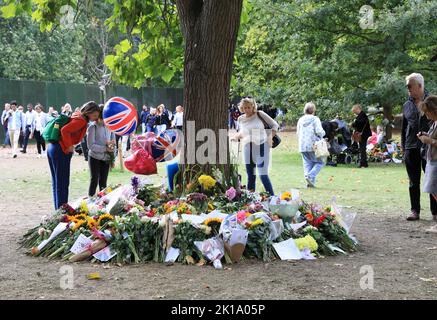 Fleurs et cartes laissées autour des arbres par des adeptes après la mort de la reine Elizabeth II, à Green Park, dans le centre de Londres, Royaume-Uni Banque D'Images