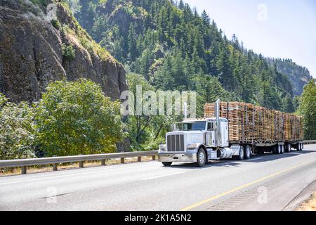 Tracteur semi-remorque blanc de style classique avec cabine allongée transportant des palettes en bois fixées sur des semi-remorques à plateau tournant sur le large Divi Banque D'Images