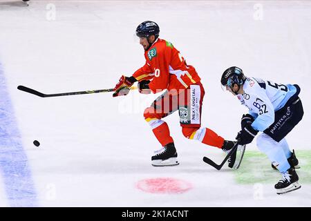 DÜSSELDORF, ALLEMAGNE - 16 SEPTEMBRE 2022 : match de hockey DEL Düsseldorfer EG - ERC Ingolstadt Banque D'Images