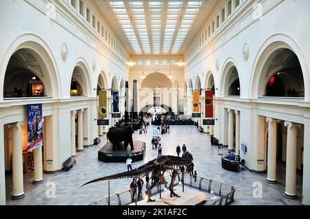 Chicago, Illinois, États-Unis. La salle principale du Field Museum of Natural History à Chicago. Banque D'Images