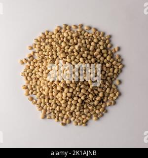 pieu de niébé, également appelé pois à yeux noirs ou pois du sud, légumineuses à grains comestibles les plus populaires isolées sur fond gris neutre, prises d'en haut Banque D'Images