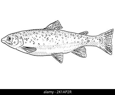 Dessin au trait de style caricaturé d'une truite brune ou d'un Salmo trutta poisson d'eau douce endémique à l'Amérique du Nord avec des points de demi-teinte sur le backgro isolé Banque D'Images