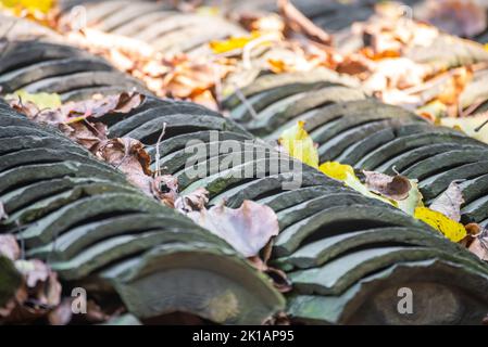 Tuiles vertes sur le toit d'un ancien bâtiment dans le jardin de Zhuozheng, Suzhou, Chine Banque D'Images