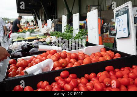 Tomates, aubergines et autres fruits et légumes frais en vente au Paddy’s Fresh Food Market à Flemington, Sydney — Nouvelle-Galles du Sud, Australie Banque D'Images