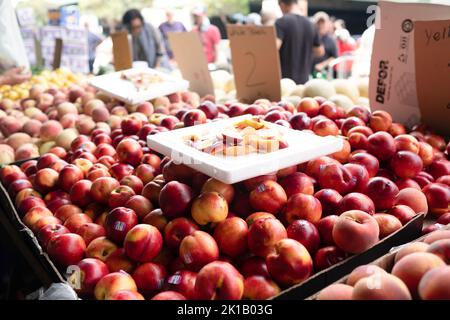 Nectarines et pêches fraîches à vendre au Paddy’s Market de Flemington, Sydney — Nouvelle-Galles du Sud, Australie Banque D'Images