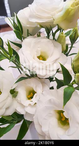 Bouquet de fleurs blanches sur une table de banquet servie. Vacances. Banque D'Images