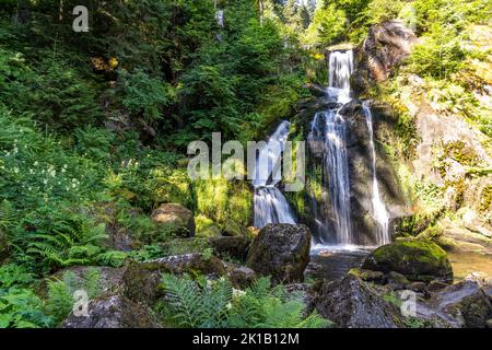 Die Triberger Wasserfälle, Triberg im Schwarzwald, Bade-Wurtemberg, Allemagne | les cascades de Triberg, Triberg im Schwarzwald, Forêt Noire, Bad Banque D'Images