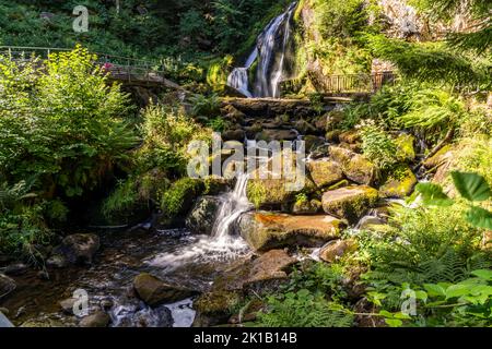 Die Triberger Wasserfälle, Triberg im Schwarzwald, Bade-Wurtemberg, Allemagne | les cascades de Triberg, Triberg im Schwarzwald, Forêt Noire, Bad Banque D'Images