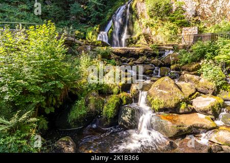 Die Triberger Wasserfälle, Triberg im Schwarzwald, Bade-Wurtemberg, Allemagne | les cascades de Triberg, Triberg im Schwarzwald, Forêt Noire, Bad Banque D'Images