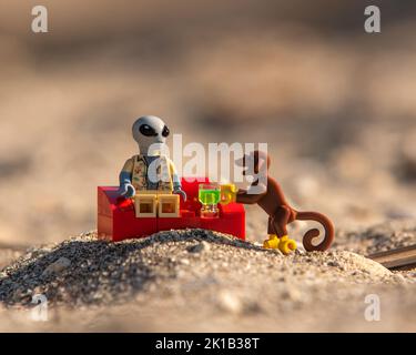 LEGO alien Minifigure sur la plage Banque D'Images