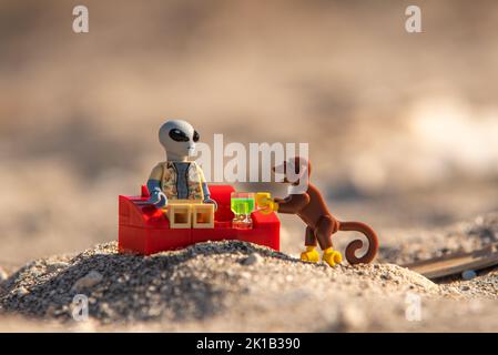 LEGO alien Minifigure sur la plage Banque D'Images