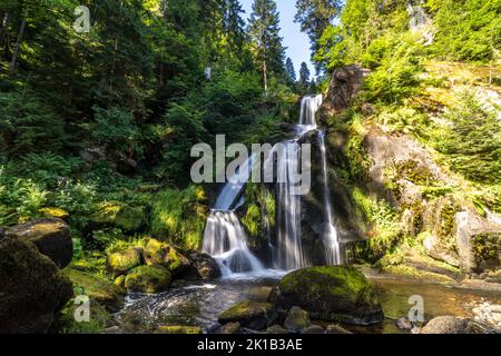 Die Triberger Wasserfälle, Triberg im Schwarzwald, Bade-Wurtemberg, Allemagne | les cascades de Triberg, Triberg im Schwarzwald, Forêt Noire, Bad Banque D'Images