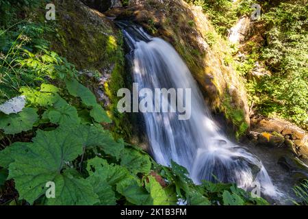 Die Triberger Wasserfälle, Triberg im Schwarzwald, Bade-Wurtemberg, Allemagne | les cascades de Triberg, Triberg im Schwarzwald, Forêt Noire, Bad Banque D'Images