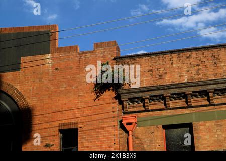 Photographie de rue brisbane Banque D'Images